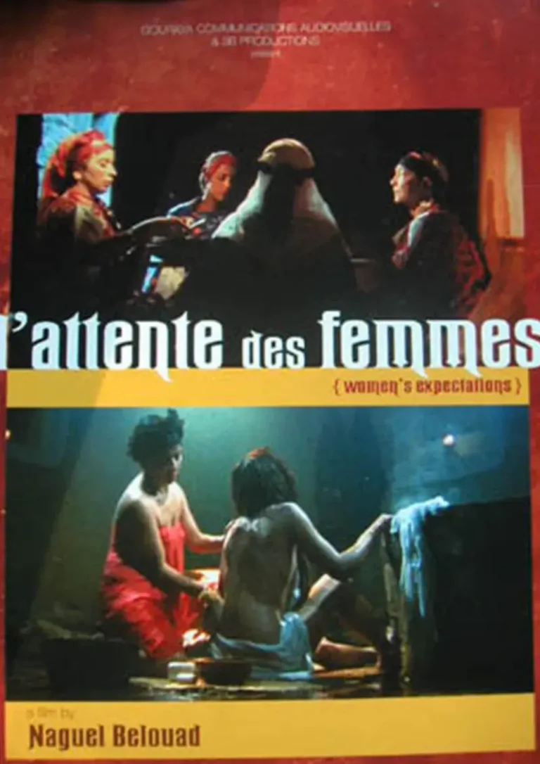 Affiche du film "L'attente des femme"